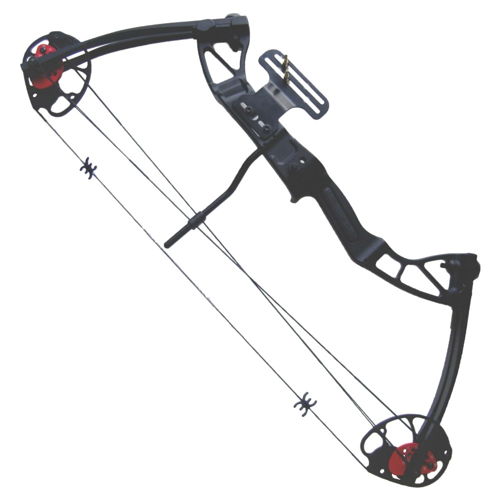 COMPOUND BOW 25-55 LBS (CO 029B)