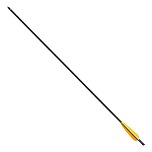 EK ARCHERY CARBON BOLT 22 INCHES BLACK (D069B)