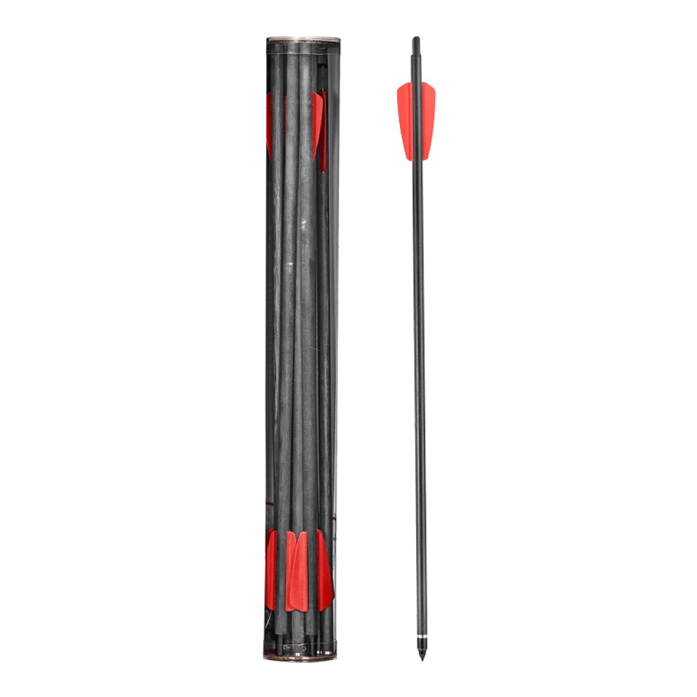 EK ARCHERY SET 10 DARDI IN CARBONIO 15 POLLICI PER R9/RX COBRA SYSTEM (D-112A)