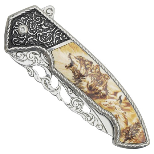 SCK SPRING ASSISTED POCKET FOLDING KNIFE (CW-033)