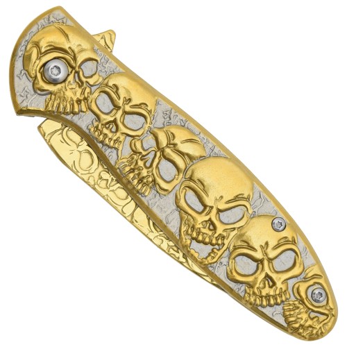 SCK SPRING ASSISTED POCKET FOLDING KNIFE (CW-050)