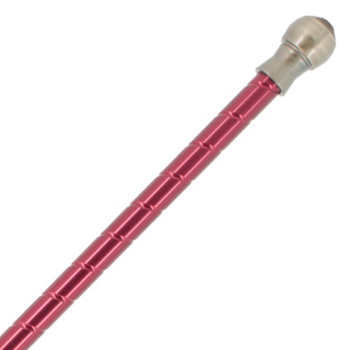 LANCIA ORNAMENTALE (ZS1308)