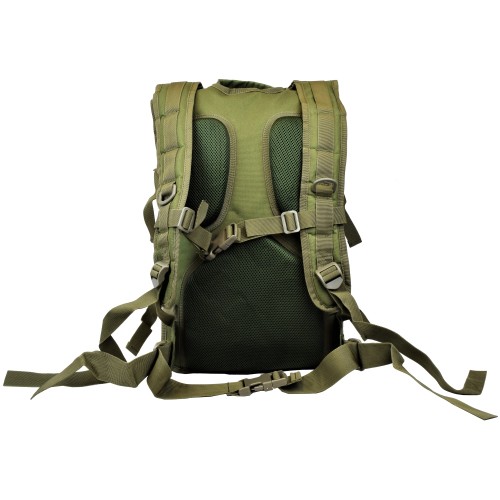 ROYAL BACKPACK 45 LITERS GREEN (88050-V) - BACK VIEW