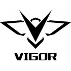 VIGOR